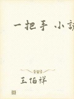 一把手 小说