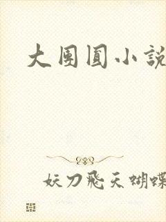 大团圆小说