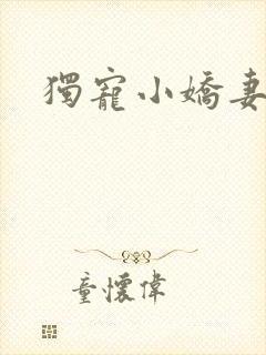 独宠小娇妻