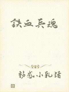 铁血兵魂