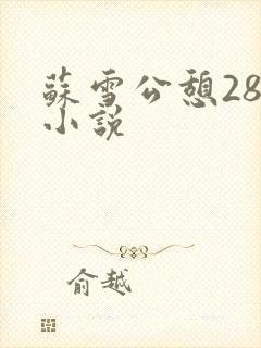 苏雪公憩28篇小说