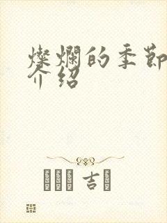 灿烂的季节剧情介绍