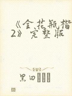 《金花瓶楷梅花2》完整版