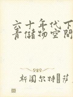 六十年代下乡知青储物空间