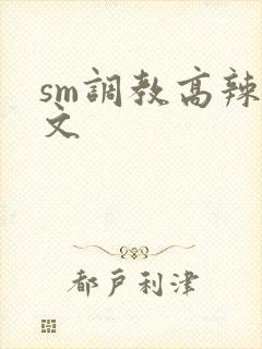 sm调教高辣h文