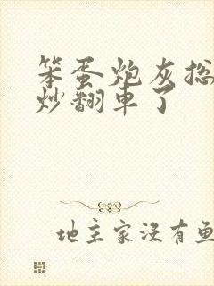 笨蛋炮灰总被爆炒翻车了