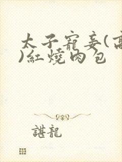 太子宠妾(高肉)红烧肉包