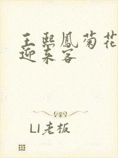 王熙凤菊花门初迎来客