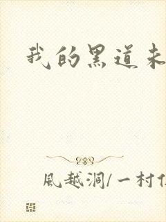 我的黑道未婚夫