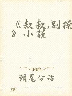 《叔叔,别撩我》小说