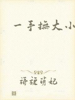一手抚大小说