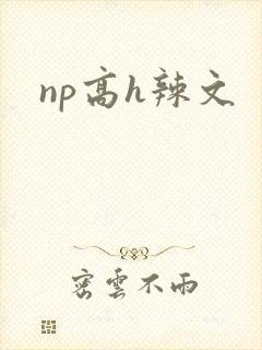 np高h辣文