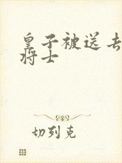 皇子被送去犒劳将士