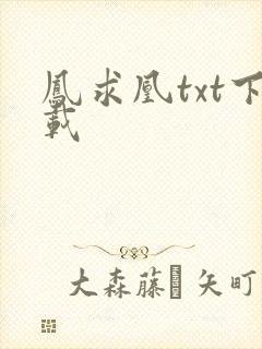 凤求凰txt下载