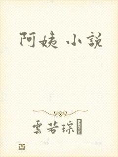 阿姨 小说