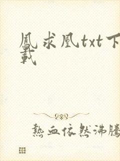 凤求凰txt下载
