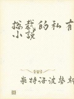 总裁的私有宝贝小说