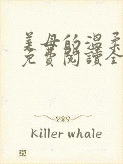 美母的温柔小说免费阅读全文笔趣阁