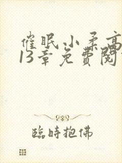 催眠小柔高达第13章免费阅读