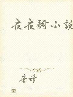 夜夜骑小说