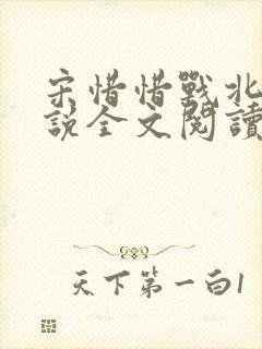 宋惜惜战北望小说全文阅读