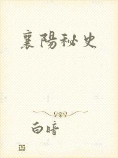 襄阳秘史