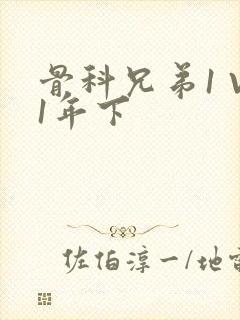 骨科兄弟1 V1年下