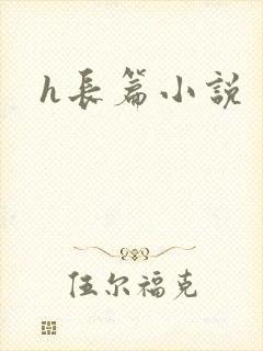 h长篇小说