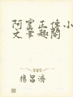 阿宾正传小说全文笔趣阁