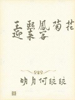 王熙凤菊花门初迎来客