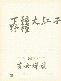 下种大肚子怀孕野种