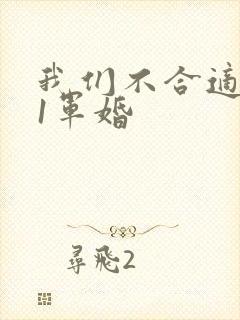 我们不合适1v1军婚