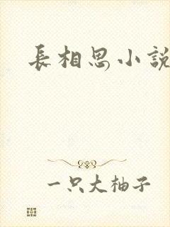 长相思小说原著