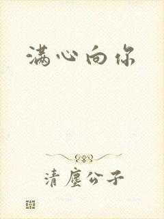 满心向你