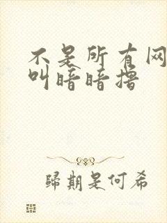 不是所有网站都叫暗暗撸