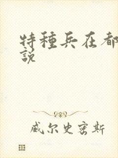 特种兵在都市小说