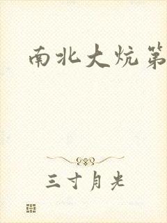 南北大炕第一部