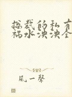 总裁的私有宝贝祸水泱泱全文阅读