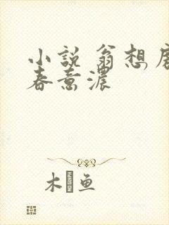 小说 翁想房中春意浓