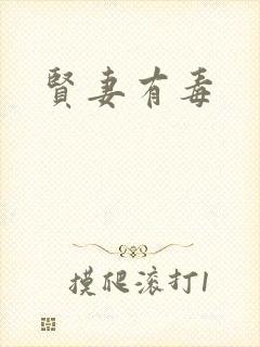 贤妻有毒