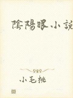 阴阳眼小说
