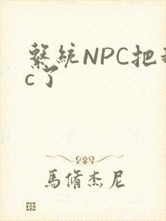 系统NPC把我c了