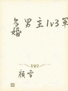 多男主1v3军婚