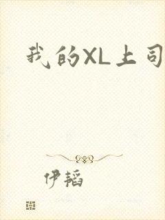 我的XL上司