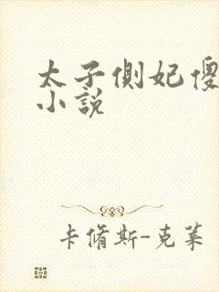 太子侧妃傻乎乎小说