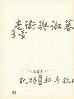 老卫与淑蓉第13章