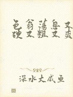 色翁荡息又大又硬又粗又爽电影