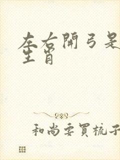 左右开弓是什么生肖