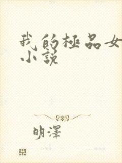 我的极品女老师小说