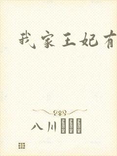 我家王妃有点野